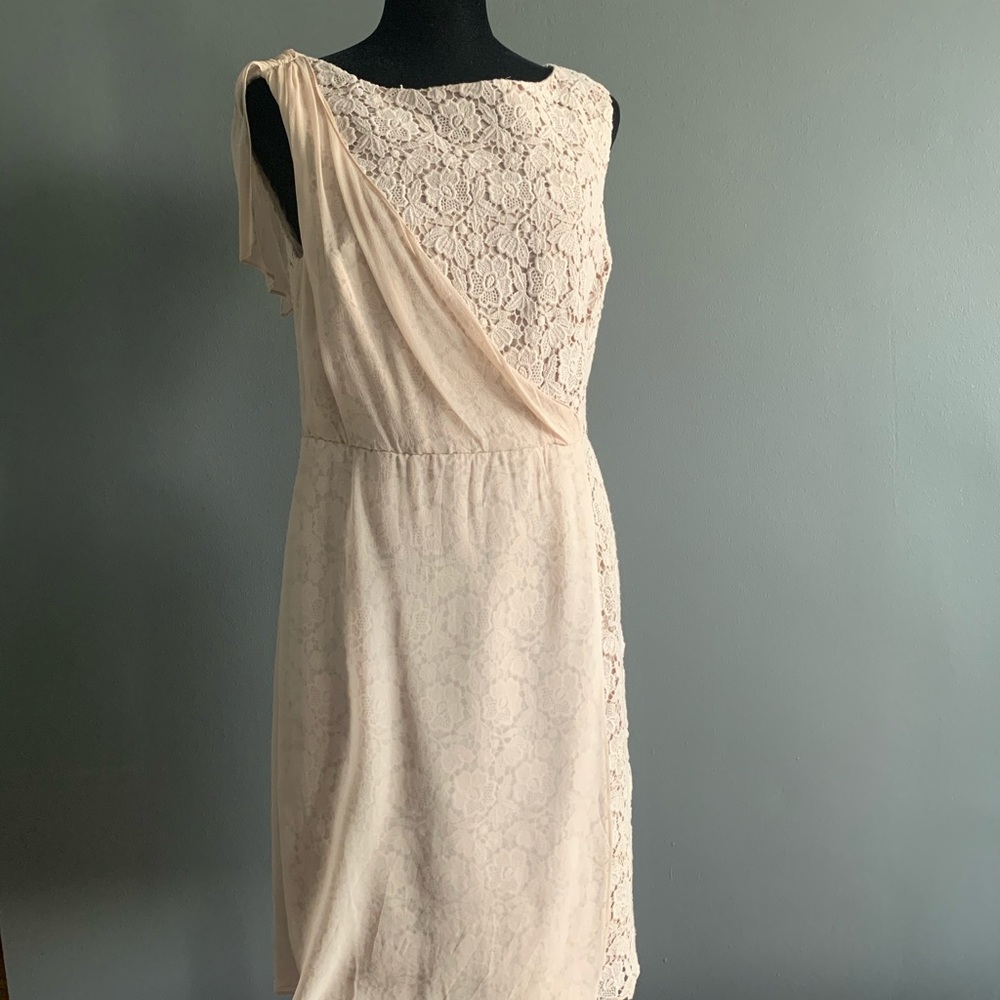 Ann Taylor Cotton-Silk Beige Lace Dress, Size 4